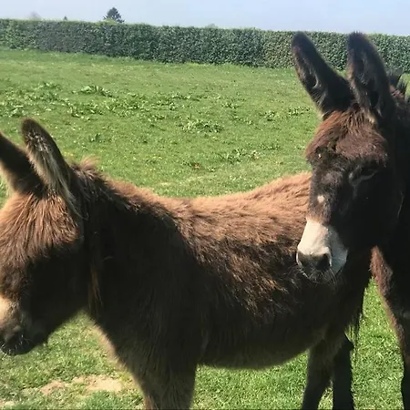 Maison Individuelle Pommereval