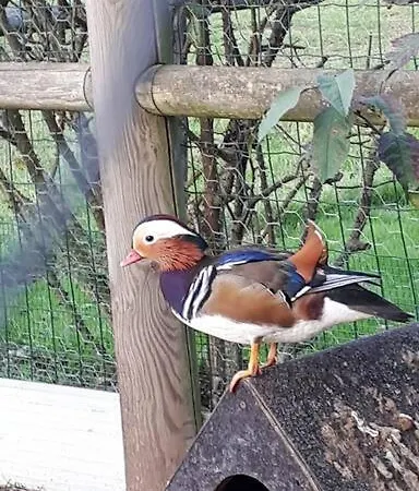 Maison Individuelle Apartment Pommereval