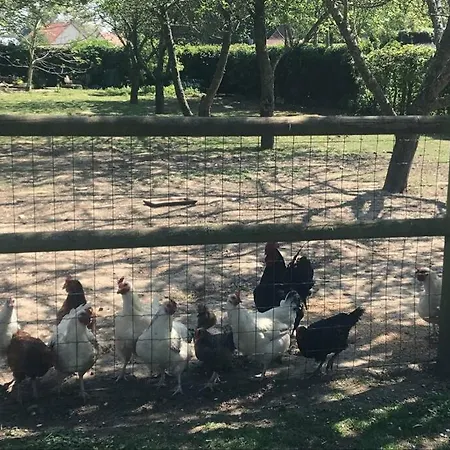 Apartment Maison Individuelle *