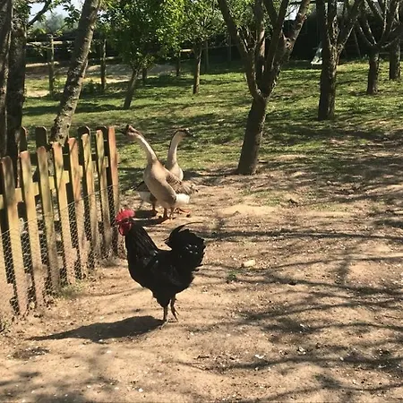 Maison Individuelle *