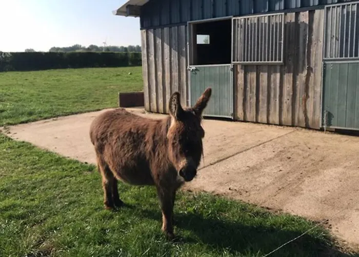 Maison Individuelle Διαμέρισμα *