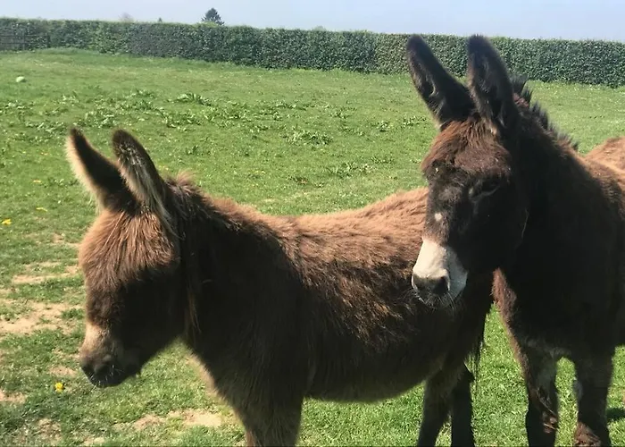 Maison Individuelle Pommereval