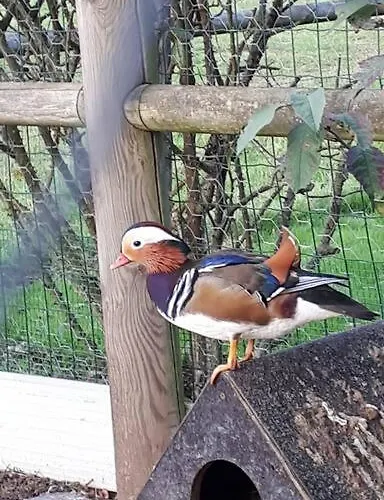 Maison Individuelle Διαμέρισμα Pommereval