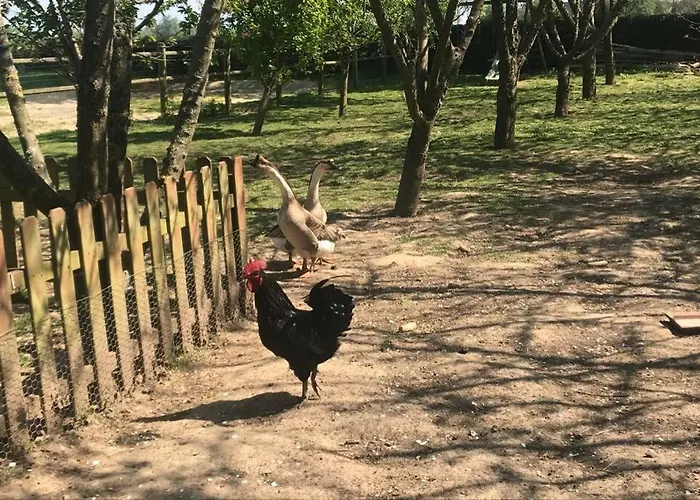 Maison Individuelle *